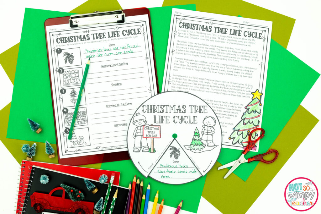 Image shows sample pages from the Christmas Tree Farm project based learning resource , including a Christmas Tree Life Cycle holiday activity. This simple holiday activity includes a graphic organizer, reading passage, and craft. 