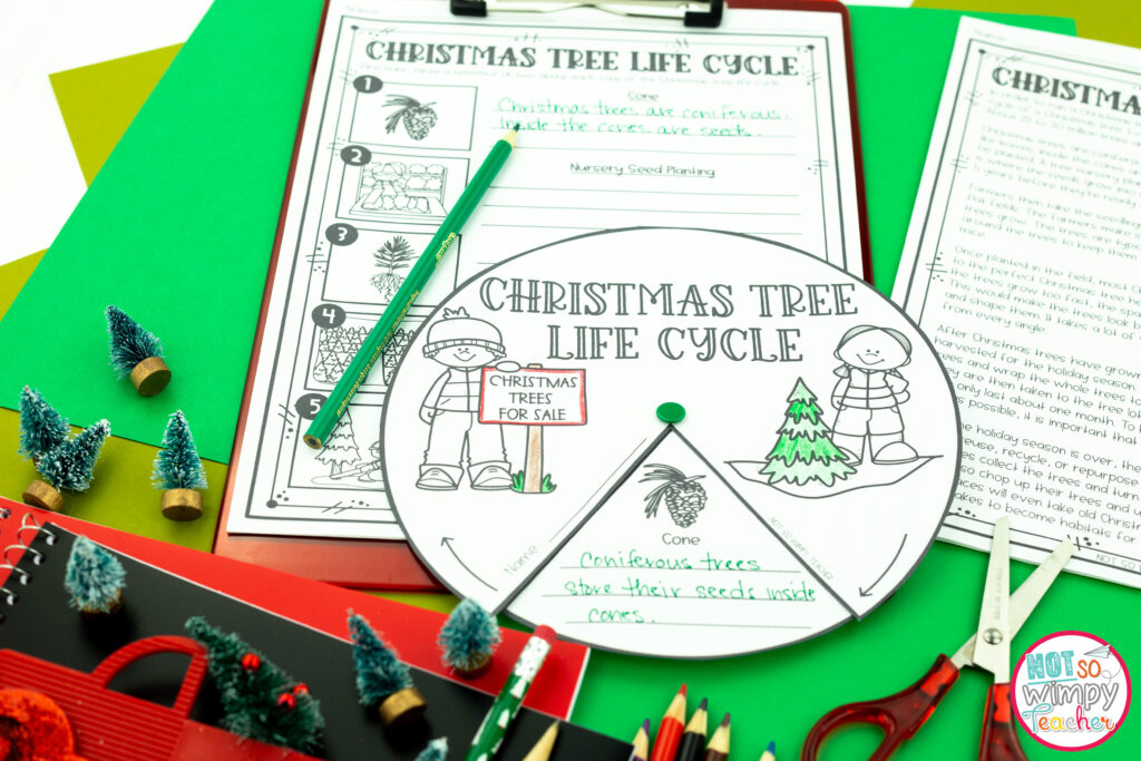 Image shows sample pages from the Christmas Tree Farm project based learning resource , including a Christmas Tree Life Cycle holiday activity. 