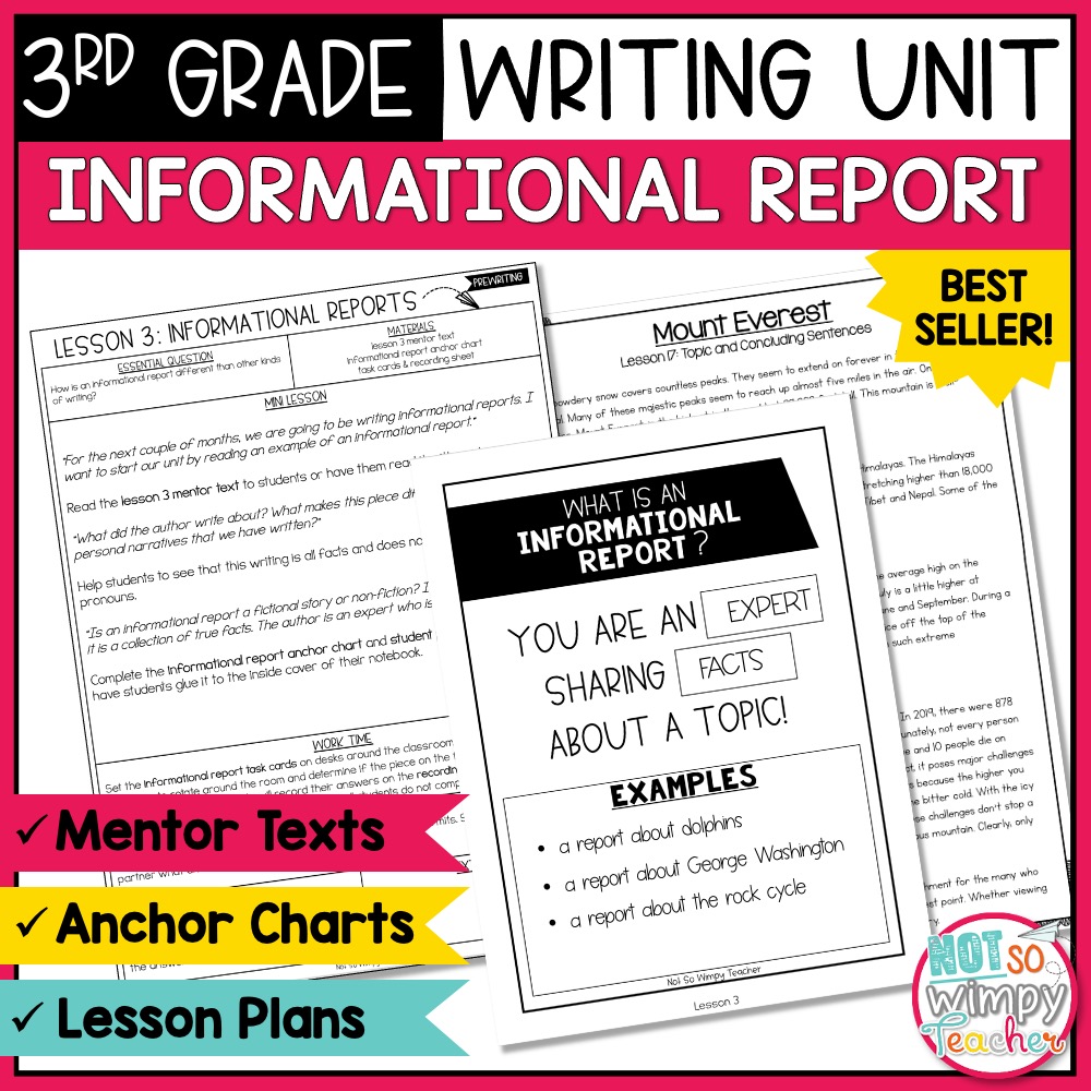 report writing topics grade 3