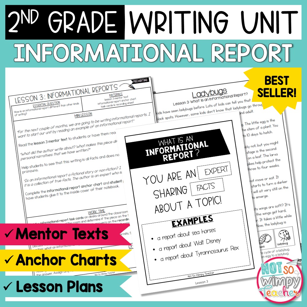 how to write an informational essay 2nd grade