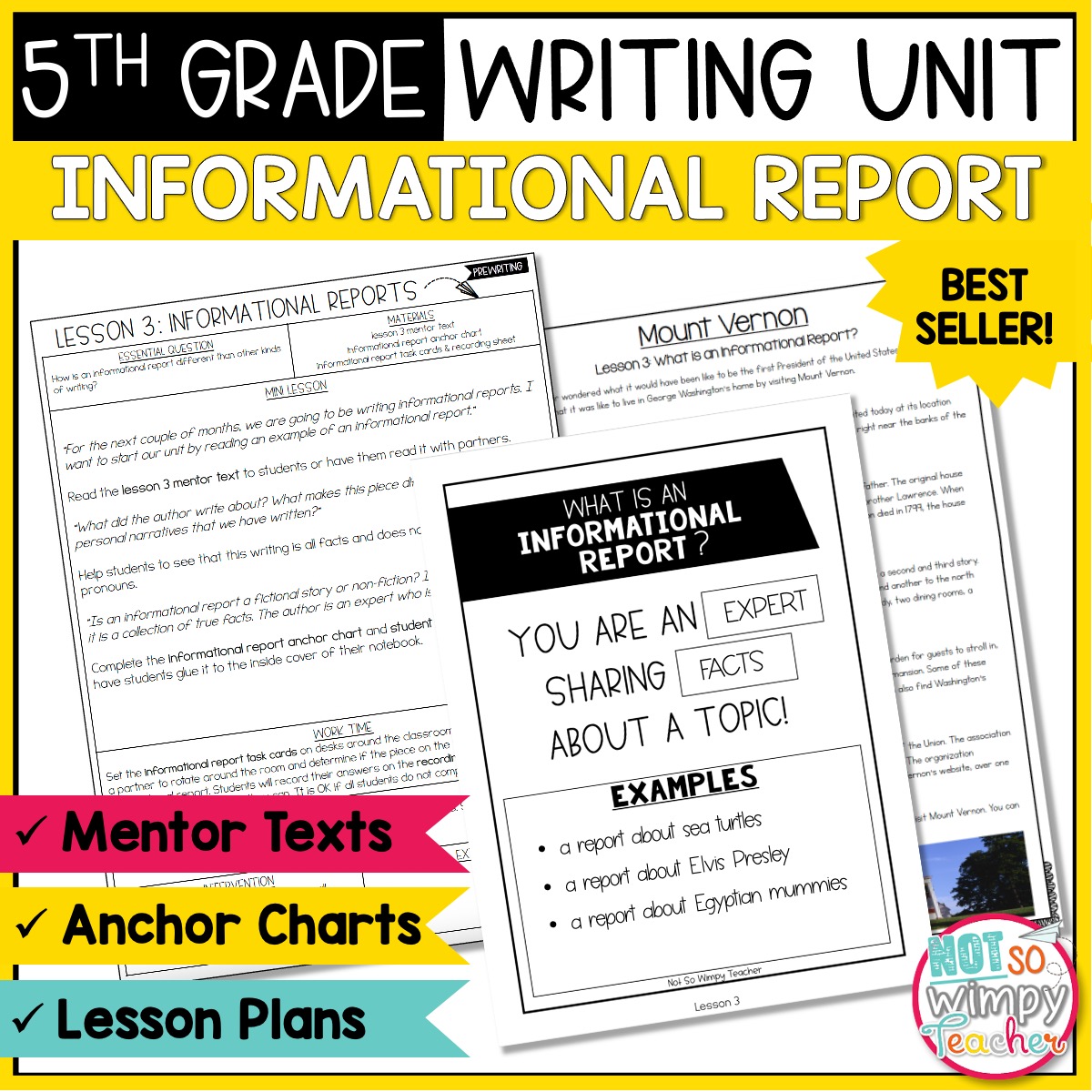how to write an informative essay 5th grade