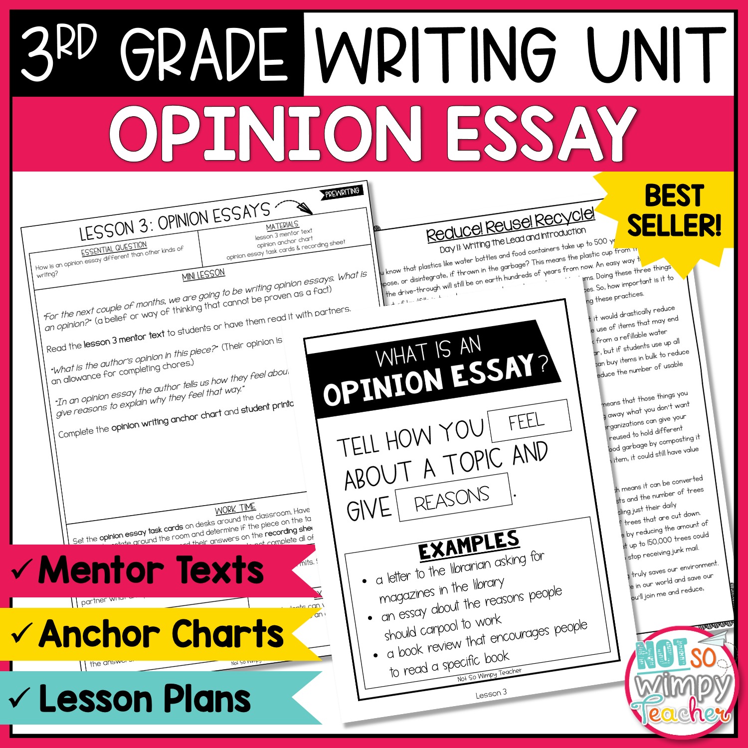 3rd grade opinion essay samples