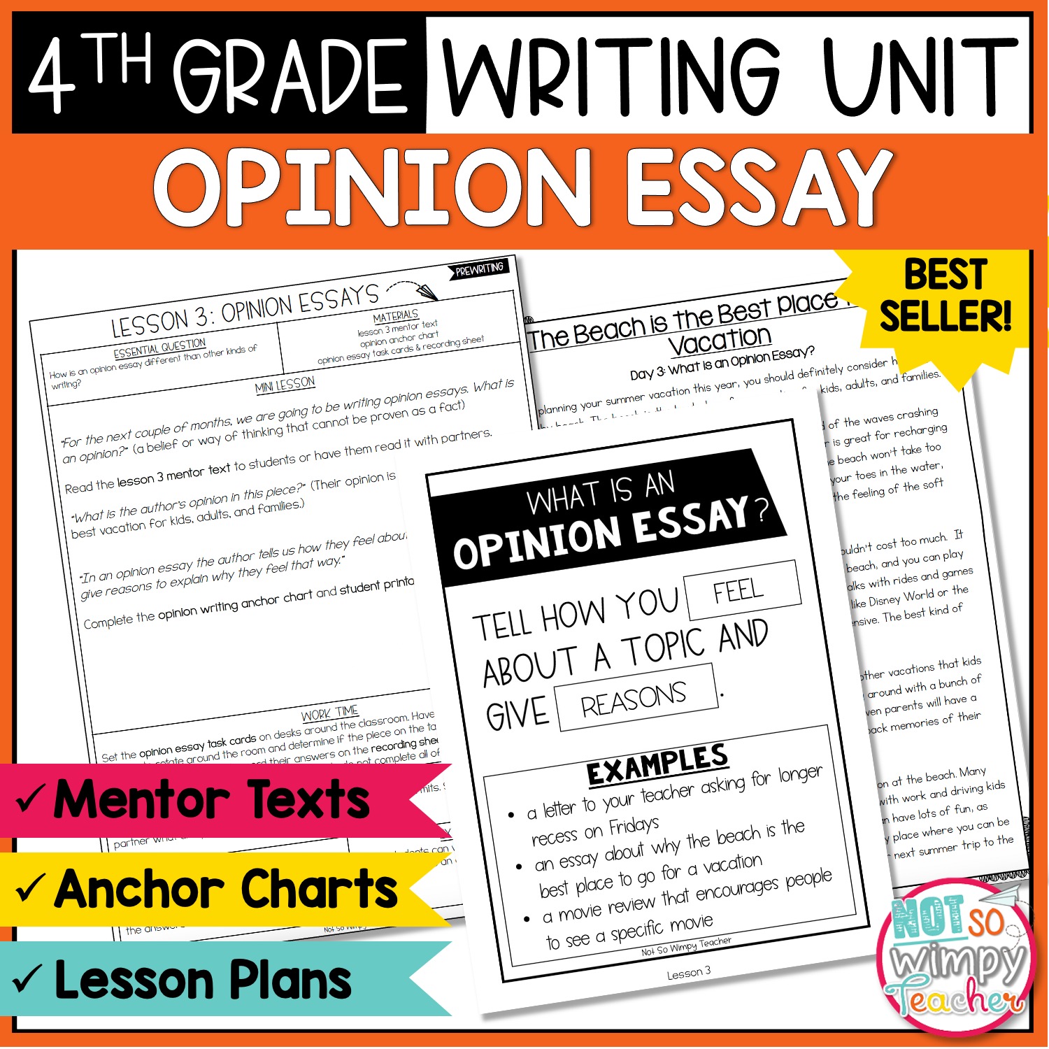 opinion writing essay anchor chart