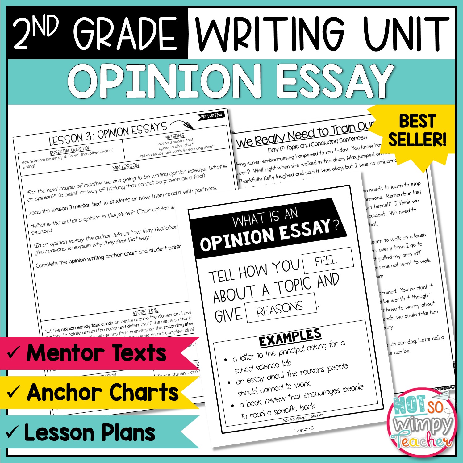 essay writing for 2nd standard