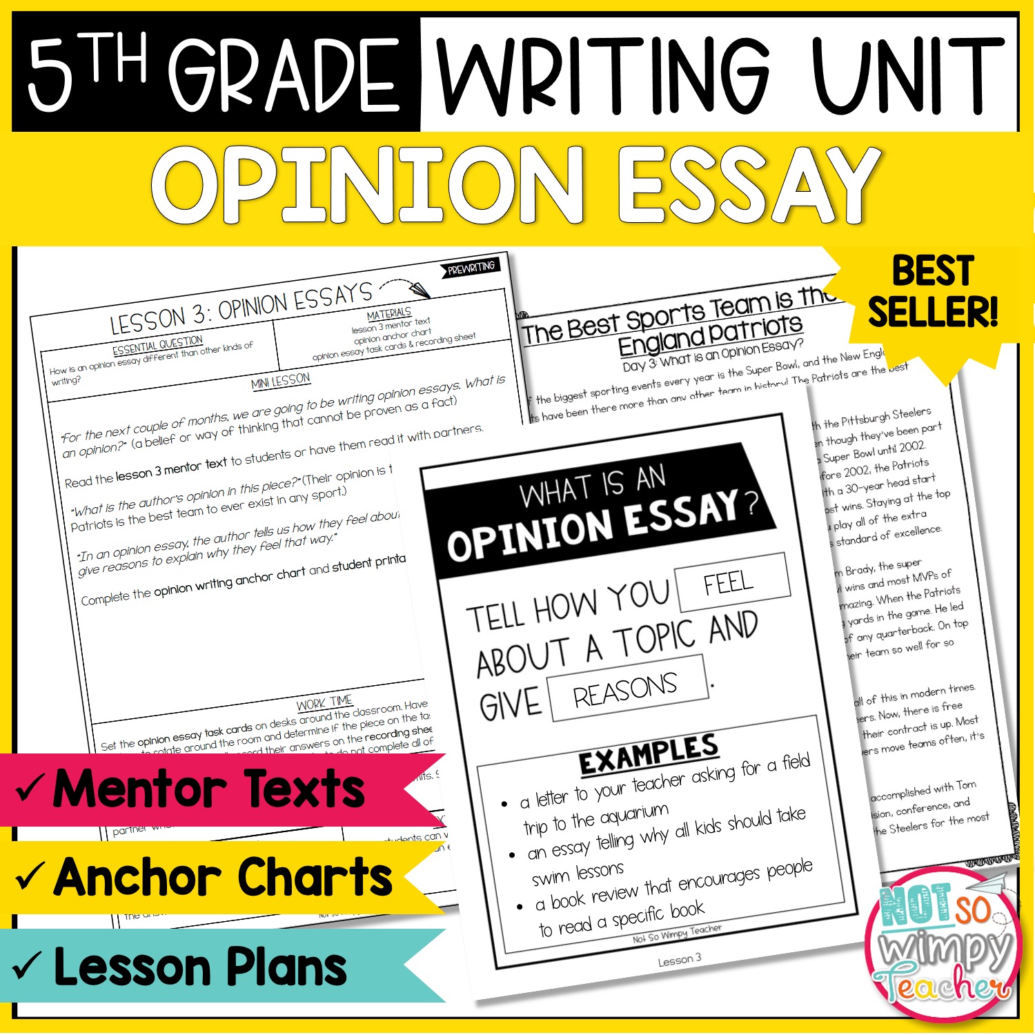5th grade sample opinion essay