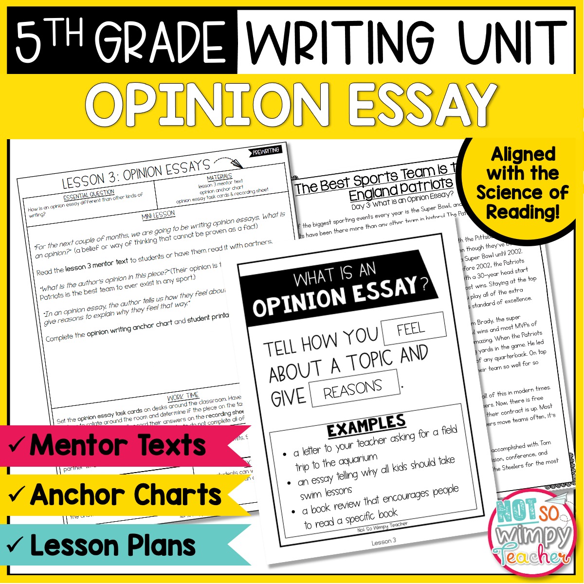 opinion essay sample 5th grade