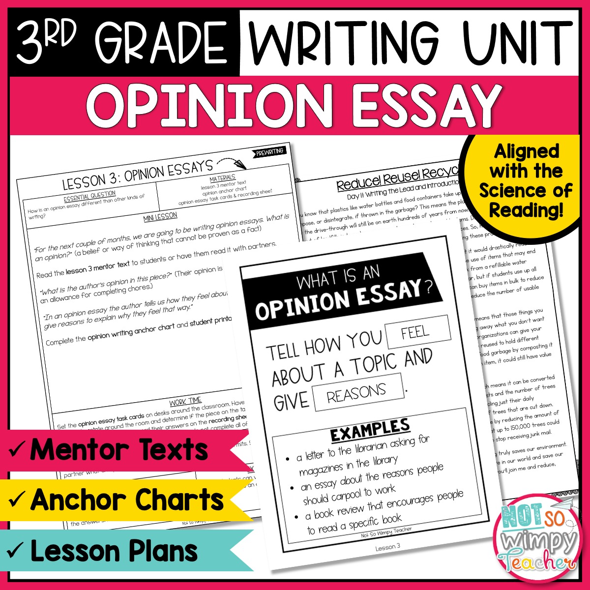 opinion essay anchor chart 3rd grade