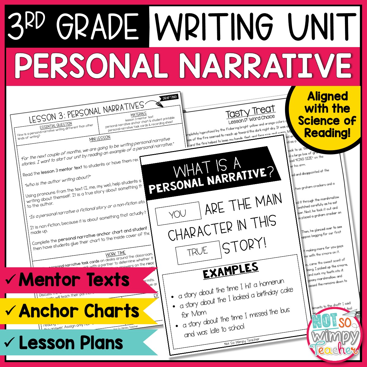 narrative essay rubric 3rd grade