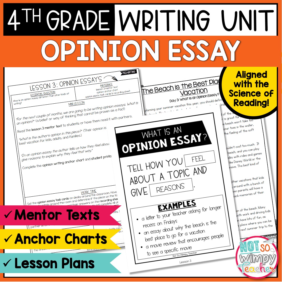 example of opinion essay 4th grade